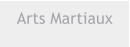 Arts Martiaux