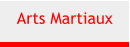 Arts Martiaux